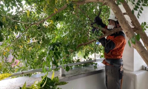 竜之介動物病院　中央区本庄_210109_1